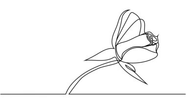 Gül çiçeği. Gül çiçeği minimalist tasarım minimalizminin kesintisiz bir çizimi.