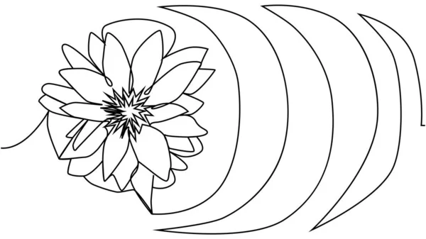 Virág Lótusz Folyamatos Vonal Illusztráció Szerkeszthető Stroke Egyvonalas Rajz Gyönyörű — Stock Vector