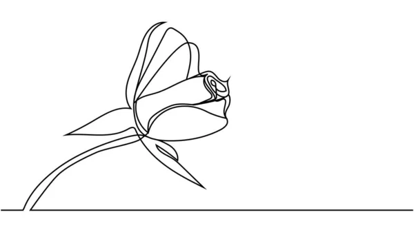 Gül Çiçeği Gül Çiçeği Minimalist Tasarım Minimalizminin Kesintisiz Bir Çizimi — Stok Vektör