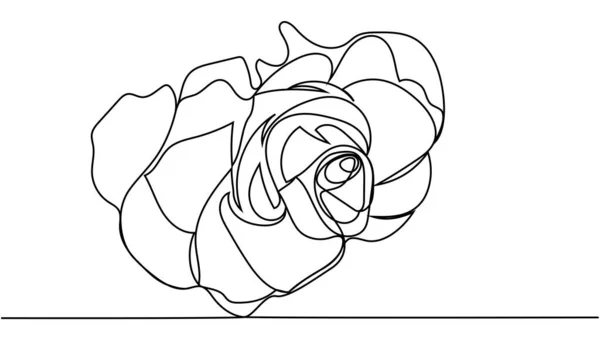 Rosa Flor Desenho Contínuo Uma Linha Flor Rosa Conceito Minimalista —  Vetores de Stock