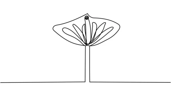 Línea Continua Dibujo Hermosa Flor Calla — Archivo Imágenes Vectoriales