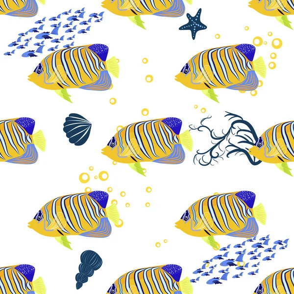 Emperador Angelfish Pomacanthus Imperator Seamless Patterns Sea Animal Wildlife Character — Archivo Imágenes Vectoriales