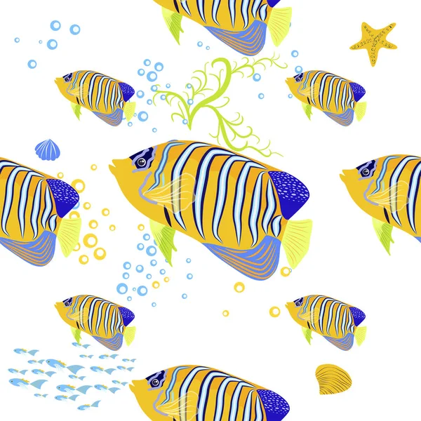 天皇的天使鱼 石榴帝王的无缝图案 海洋动物的野生动物特征 自然在水下 海洋野生动物园鱼 — 图库矢量图片