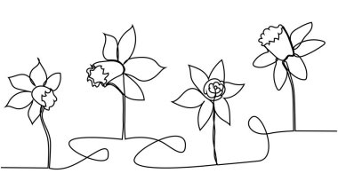 Bahçe için taze narsislerin tek bir çizimi. Basılabilir nergis çiçeği konsepti. Moda sürekli çizgi çizimi tasarımı
