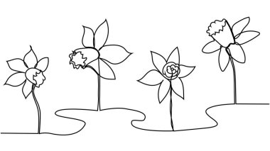 Bahçe için taze narsislerin tek bir çizimi. Basılabilir nergis çiçeği konsepti. Moda sürekli çizgi çizimi tasarımı
