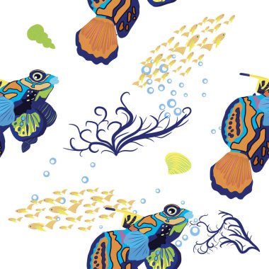 Mandarin balığının dikişsiz desenleri. Deniz kabukları, deniz yosunu, denizyıldızı, deniz hayvanı yaban hayatı karakteri arasında güzel bir karakter. Doğa su altında, deniz vahşi okyanus hayvanat bahçesi balıkları