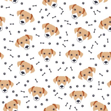 Golden Retriever köpekleri kusursuz bir desen oluşturur. Pençe izleri ve kemikler