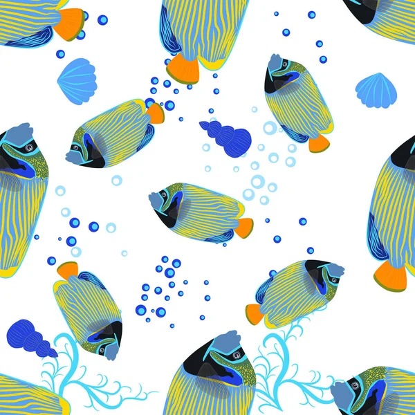 Emperador Angelfish Pomacanthus Imperator Seamless Patterns Sea Animal Wildlife Character — Vector de stock