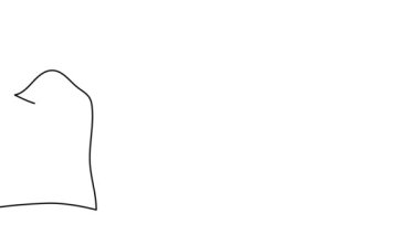 Benlik, çizim, animasyon, sürekli tek çizgi, bir gül, el resmi siluetiyle çizilmiş çiçek..