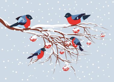 Bullfinch sitting on snow-covered branch of mountain ash. Christmas and New Year design greeting card