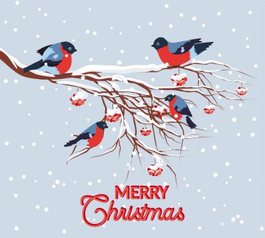 Saka kuşu dağ külünün karla kaplı dalında oturuyor. Noel ve Yeni Yıl tasarım tebrik kartı