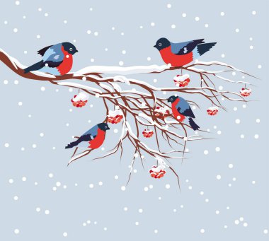 Bullfinch sitting on snow-covered branch of mountain ash. Christmas and New Year design greeting card