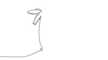 Sahilde palmiye ağaçlarının aralıksız çizilmesinin animasyonu.