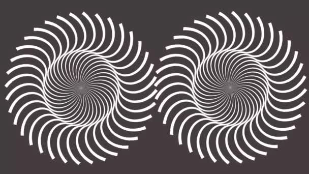 サイケデリックな渦巻きのカップル 丸い縞模様の黒い白い線 催眠回転抽象化を回転させる オペラアートの効果 光学的幻想 シームレスループアニメーション — ストック動画