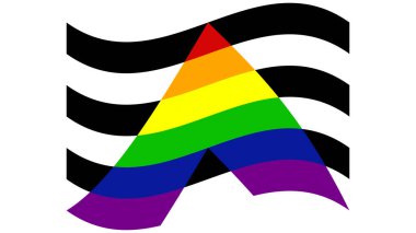 Heteroseksüel müttefikler gurur bayrağı. LGBT topluluk bayrağı