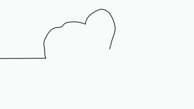 Orkide çiçeğinin çizimi. Beyaz arka planda el çizimi beyaz orkide animasyonu. Çizgi sanatı, ince çizgi,