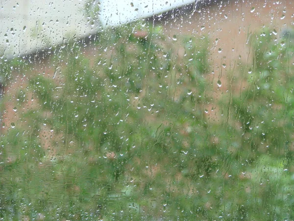 Rainy Days Rain Drops Window Surface Drops Glass — Photo