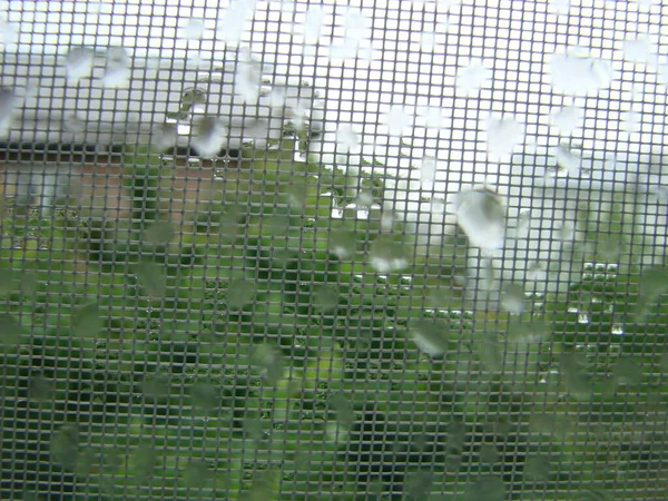 Rainy Days Rain Drops Window Surface Drops Glass — Stock fotografie