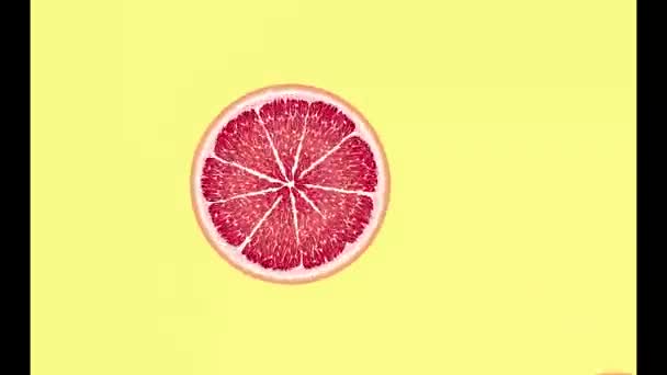 Šťavnaté Grapefruitové Kruhy Točí Objevují Mizí Padají Vody Pomeranč Červená — Stock video