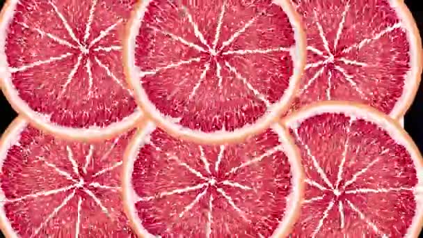 Juicy Grapefruit Circles Spin Appear Disappear Fall Water Orange Red — Stock Video