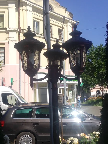 Old Lantern Petunia Flowers Background Urban Landscapes — 스톡 사진