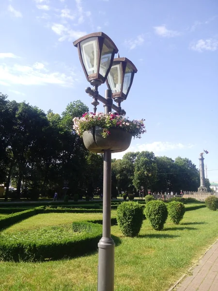 Old Lantern Petunia Flowers Background Urban Landscapes — Stok fotoğraf