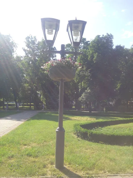 Old Lantern Petunia Flowers Background Urban Landscapes — Foto Stock