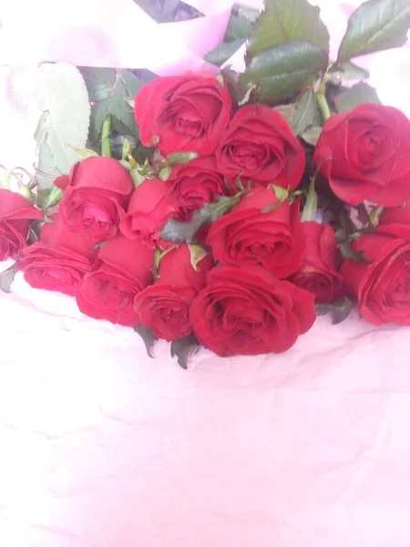 Ευχετήρια Κάρτα Διάταξης Όμορφο Μπουκέτο Κόκκινα Τριαντάφυλλα Και Χώρο Για — Φωτογραφία Αρχείου