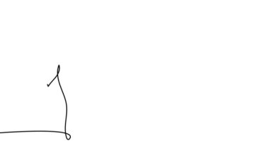 Self drawing animation continuous single drawn one line Narcissus, flower