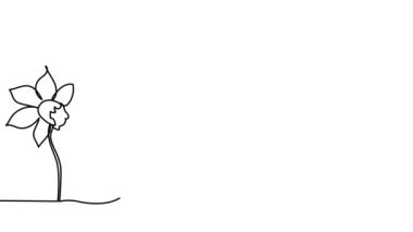 Benlik, çizim, animasyon aralıksız tek çizgi Narcissus, çiçek