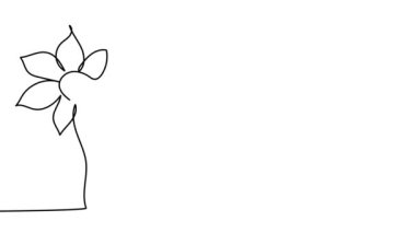 Self drawing animation continuous single drawn one line Narcissus, flower