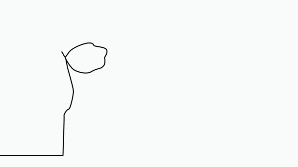 Vlastní Kreslení Náčrtku Lilie Květiny Ručně Kreslené Bílé Lilie Animace — Stock video
