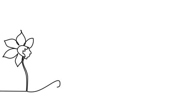 Саморисование Анимация Непрерывная Одна Нарисованная Линия Нарцисс Цветок — стоковое видео