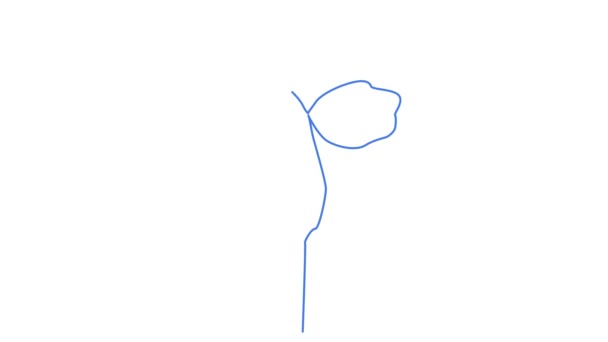 ユリの花の自画像 白い背景に白いユリのアニメーションを手描き 細い線 — ストック動画