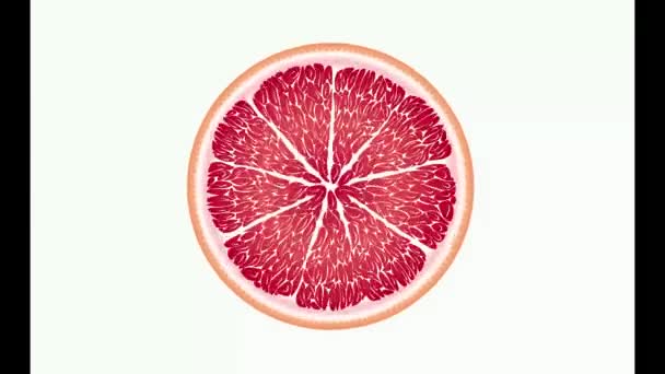 Sappige Fruitcirkels Draaien Verschijnen Verdwijnen Vallen Het Water Oranje Rood — Stockvideo