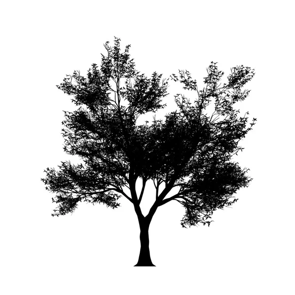 Silouette d'arbre en haute résolution — Image vectorielle