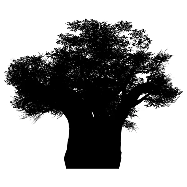 Baobab africain — Image vectorielle