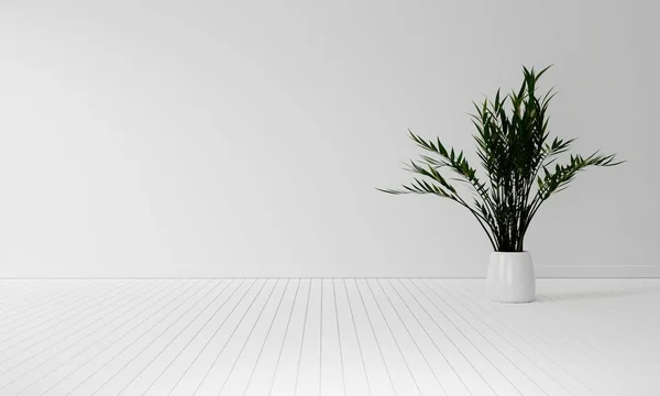 Houseplant Com Espaço Cópia Fundo Branco Piso Madeira Conceito Decoração — Fotografia de Stock