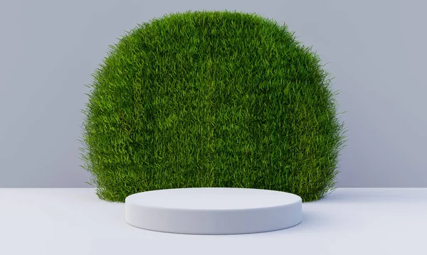 Wit Podium Met Grasachtige Ronde Planken Achtergrond Objectief Natuur Concept — Stockfoto
