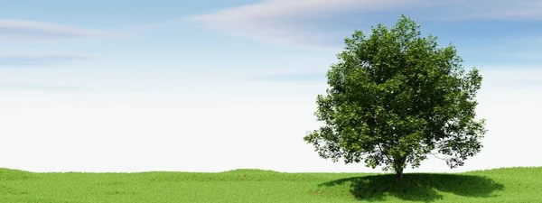 Велике Дерево Блакитним Фоном Неба Природа Концепція Ландшафту Відображення Ілюстрацій — стокове фото