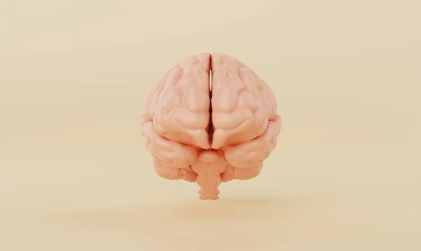 黄色背景下的橙色简单大脑模型 医疗保健和抽象客体概念 3D插图渲染 — 图库照片