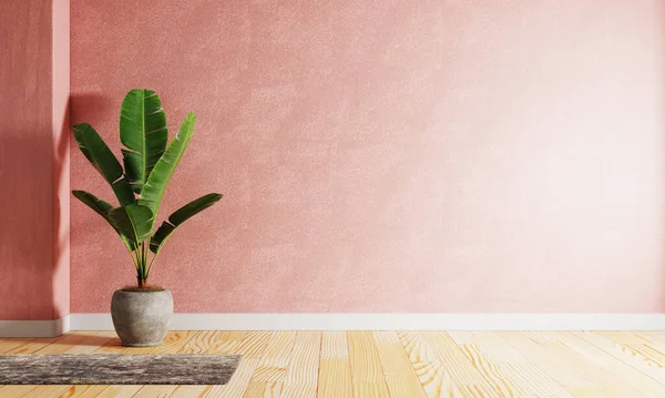 Banana Plant Pot Red Coral Color Living Room Raw Concrete — ストック写真