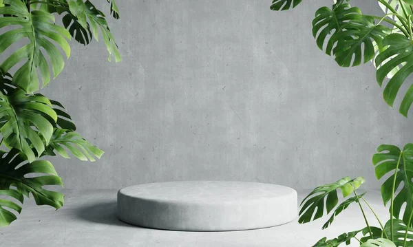 Podio Rotondo Sullo Sfondo Grigio Loft Con Pianta Monstera Primo — Foto Stock