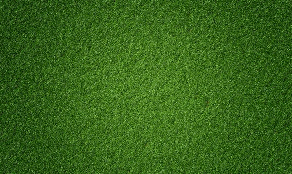 Top View Natural Fresh Green Grassy Background Nature Wallpaper Concept — Stock Photo, Image