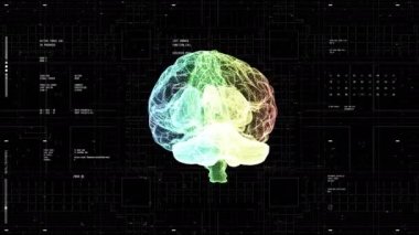 Kullanıcı arayüzü HUD görüntüleme arka planına sahip beyin MRI tomografisi x-ray parçacığı. Teknoloji ve tıp bilimi kavramı.