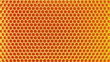 Yellow honeycomb dolly zoom in background. Abstract and backdrop wallpaper concept.