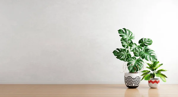 Green Plants Houseplants Pot White Empty Wall Background Interior Architecture — Stok Foto