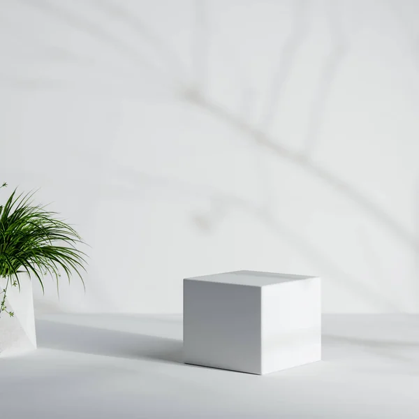 White Minimal Product Podium Houseplant Tree Trunk Leaves Shadow Background — Stok Foto