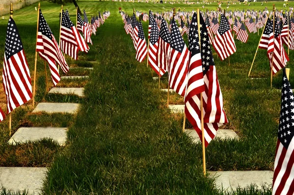 Honrar nossos veteranos — Fotografia de Stock