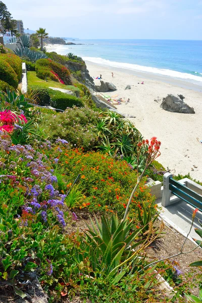 Laguna spiaggia california — Foto Stock